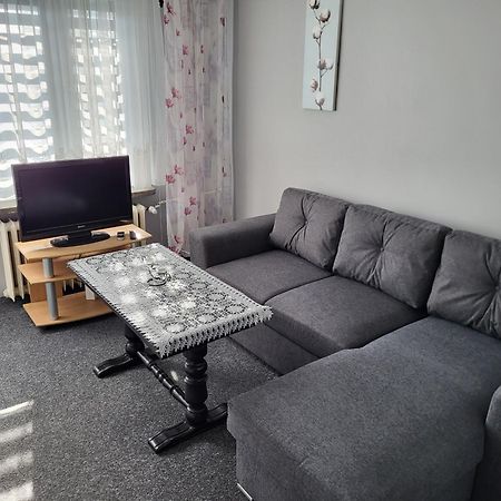 Apartament Sosnowy Z Parkingiem Торунь Екстер'єр фото