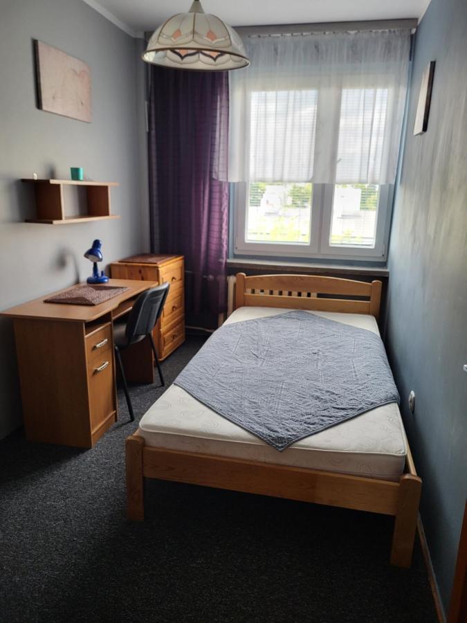 Apartament Sosnowy Z Parkingiem Торунь Екстер'єр фото